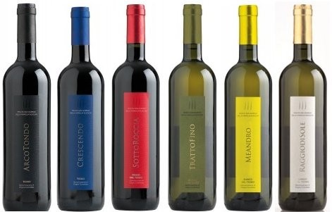 Special - Tenuta San Giorgio - Ticino